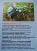 Белорусская киностудия создала цикл передач об Алтайском заповеднике